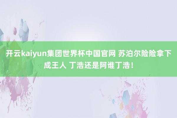 开云kaiyun集团世界杯中国官网 苏泊尔险险拿下成王人 丁浩还是阿谁丁浩！