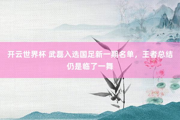 开云世界杯 武磊入选国足新一期名单，<a href=