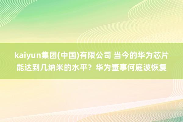 kaiyun集团(中国)有限公司 当今的华为芯片能达到几纳米的水平?华为董事何庭波恢复