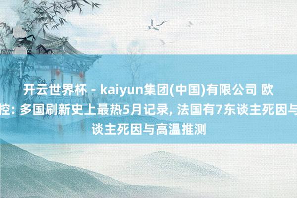 开云世界杯 - kaiyun集团(中国)有限公司 欧洲热到失控: 多国刷新史上最热5月记录, 法国有7东谈主死因与高温推测