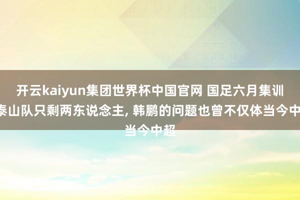 开云kaiyun集团世界杯中国官网 国足六月集训， 泰山队只剩两东说念主， 韩鹏的问题也曾不仅体当今中超