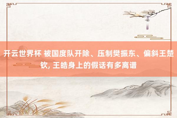 开云世界杯 被国度队开除、压制樊振东、偏斜王楚钦, 王皓身上的假话有多离谱