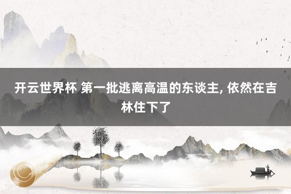 开云世界杯 第一批逃离高温的东谈主, 依然在吉林住下了