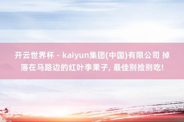 开云世界杯 - kaiyun集团(中国)有限公司 掉落在马路边的红叶李果子, 最佳别捡别吃!