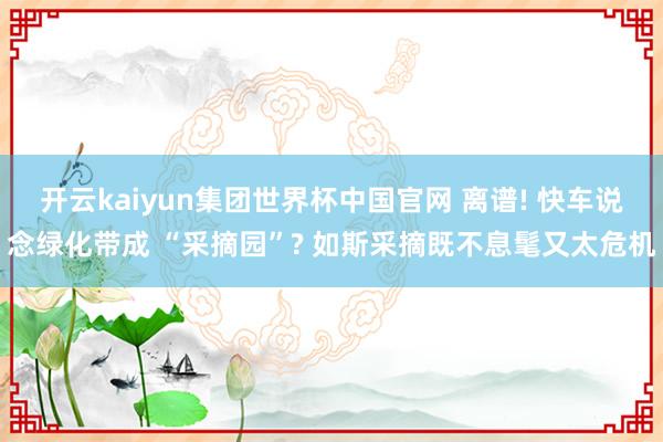 开云kaiyun集团世界杯中国官网 离谱! 快车说念绿化带成 “采摘园”? 如斯采摘既不息髦又太危机
