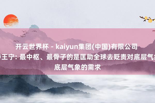 开云世界杯 - kaiyun集团(中国)有限公司 泡泡玛特王宁: 最中枢、最骨子的是匡助全球去贬责对底层气象的需求