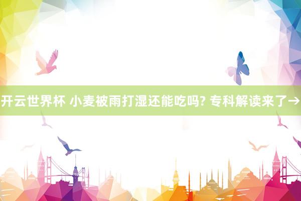 开云世界杯 小麦被雨打湿还能吃吗? 专科解读来了→