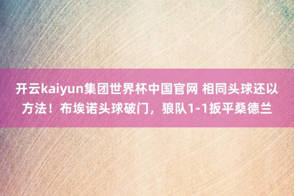 开云kaiyun集团世界杯中国官网 相同头球还以方法！布埃诺头球破门，狼队1-1扳平桑德兰