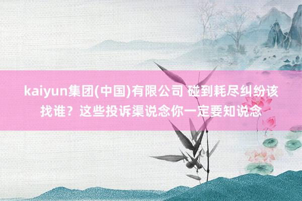 kaiyun集团(中国)有限公司 碰到耗尽纠纷该找谁？这些投诉渠说念你一定要知说念