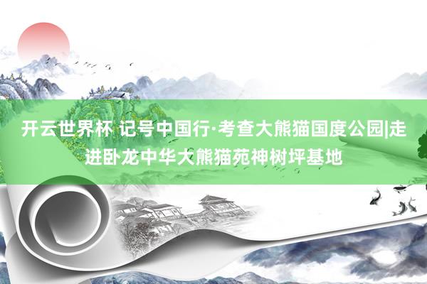 开云世界杯 记号中国行·考查大熊猫国度公园|走进卧龙中华大熊猫苑神树坪基地