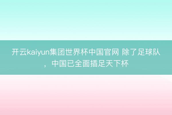 开云kaiyun集团世界杯中国官网 除了足球队,中国已全面插足天下杯